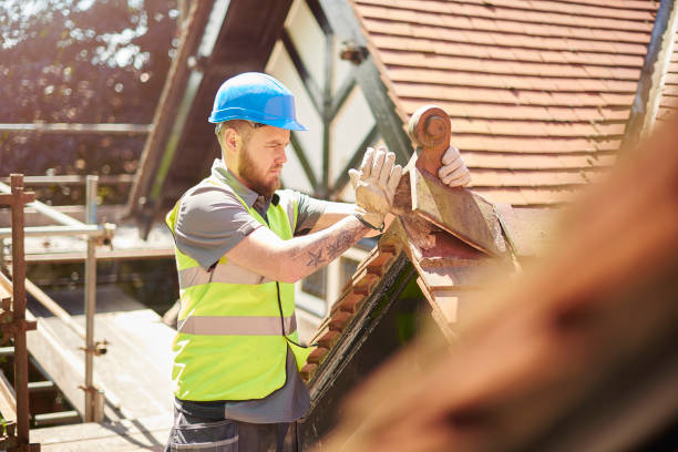 Roof Gutter Cleaning in Rio Vista, TX