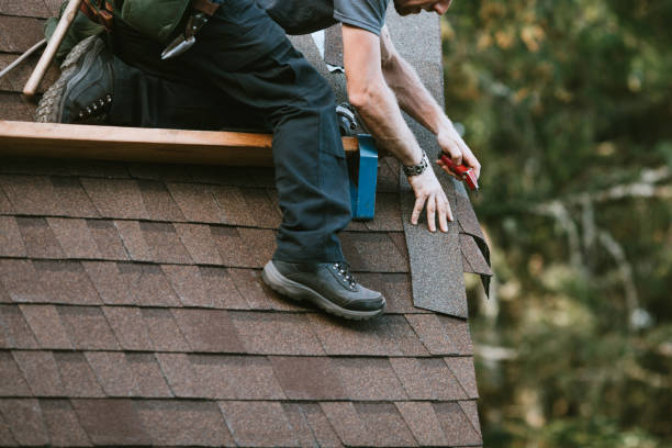 Best Roof Gutter Cleaning  in Rio Vista, TX